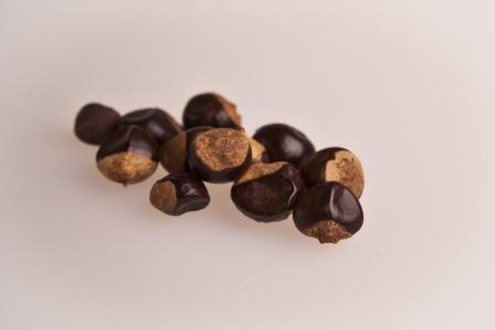 Guarana Nuts - natural stimulant