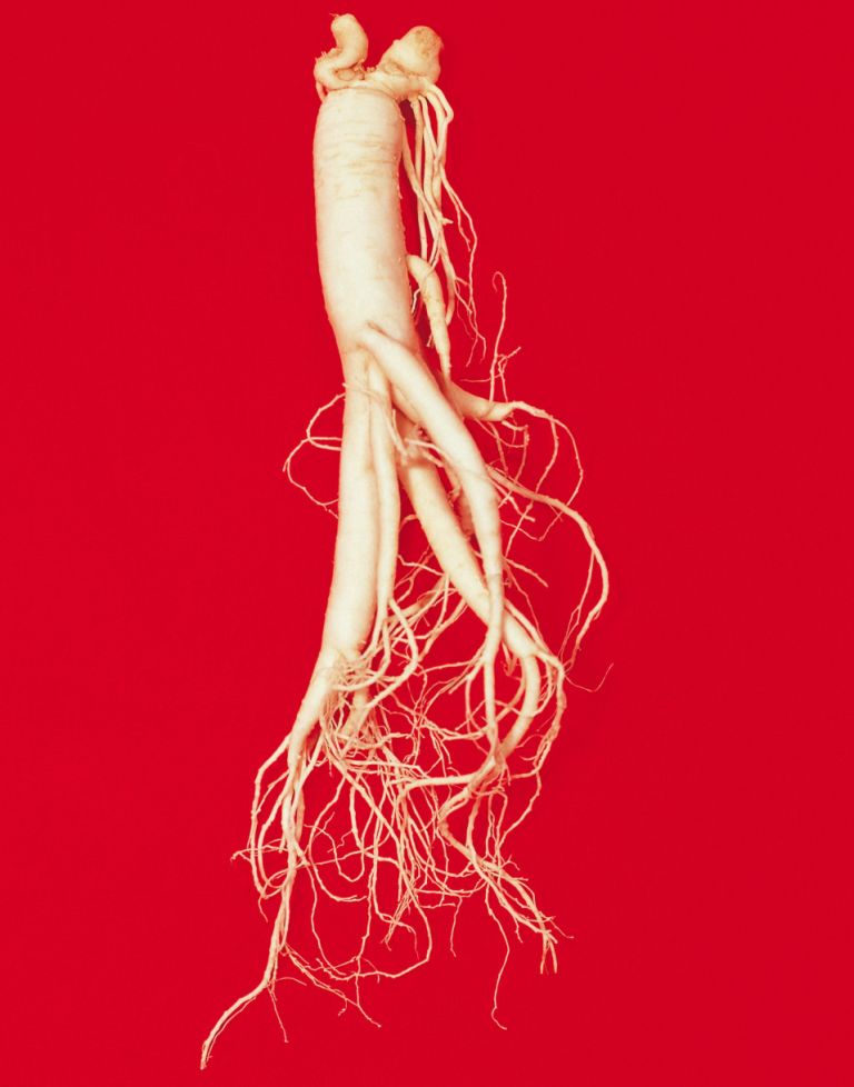 Ginseng - classed as a stimulant and is taken to increase energy and enhance physical performance.. It has been shown to effective in weight loss