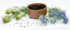 Black Seed Oil Side Effects - Are There Any?