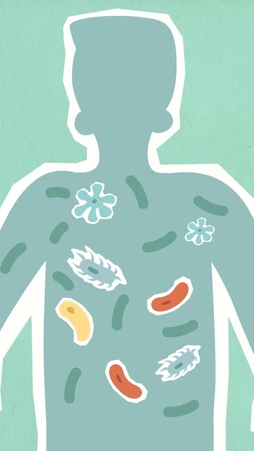 Illustration of microbes inside a child’s body—highlighting the gut-immune connection in efforts to boost kids immune system.
