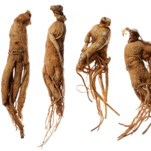 Dried Ginseng root