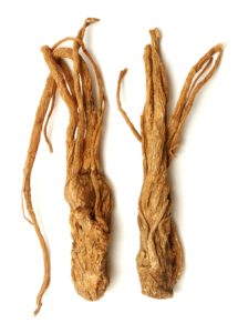 Dried Dong Quai root