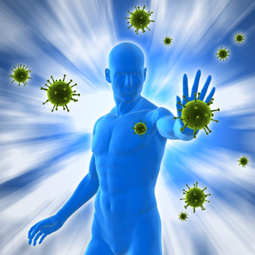 Immune system defending body from invaders