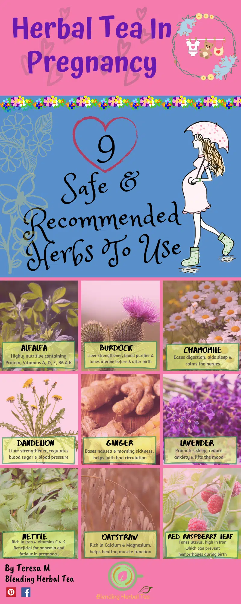 Herbal Tea In Pregnancy Infograph