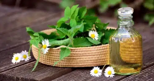 some white flowers and green leaves in a woven basket with a bottle of oil nearby