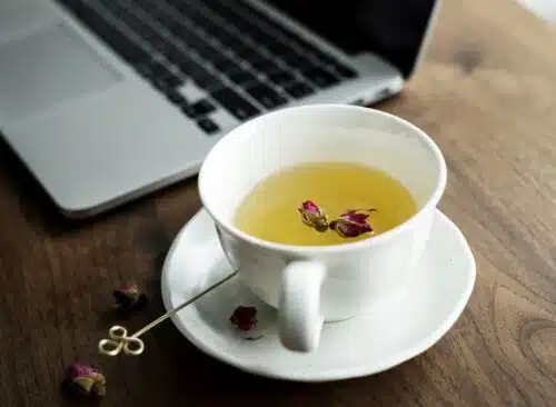 herbal tea