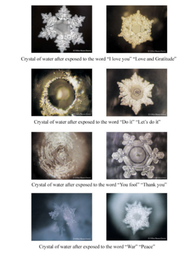 images of water crystals and their structures based on the words said to them in Masaru Emoto Hidden Messages in Water Experiments