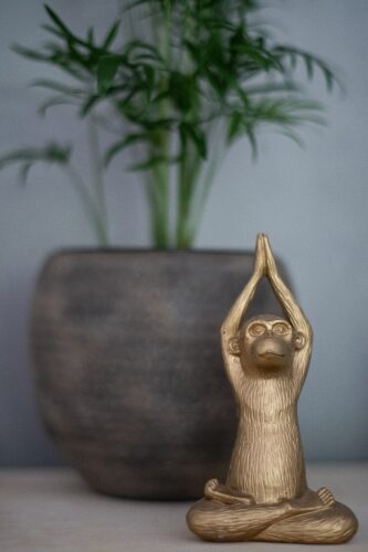 a brass monkey sits cross-legged in foreground doing a mindful yoga pose and a blurred plant in background