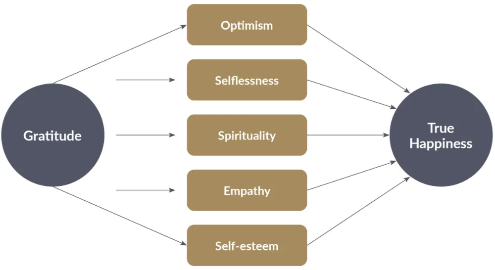 Flowchart showing how gratitude leads to true happiness through optimism, selflessness, spirituality, empathy, and self-esteem—illustrating the emotional and psychological benefits of practicing gratitude.