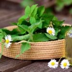 herbal garden remedies